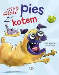 e411f45-jak-pies-z-kotem-dav.webp