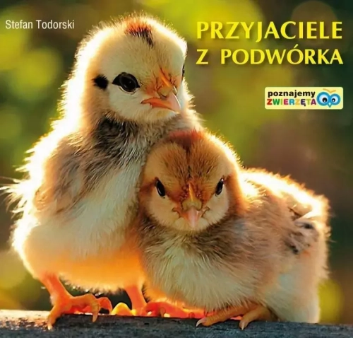 ecd01e7-przyjaciele-z-podwor.webp
