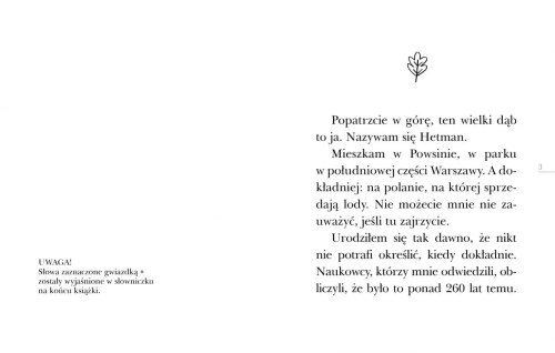 a5159-opowiesc-starego-drzew.webp