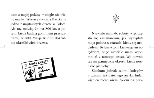 a9b8e-opowiesc-starego-drzew.webp