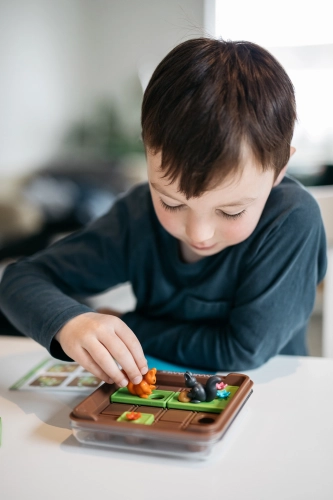 6c3f17-smart-games-wiewiorki.webp