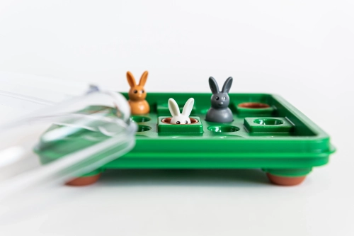 d9de8-smart-games-hop-do-nor.webp