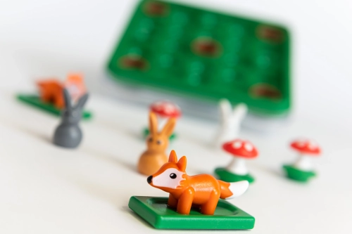ec815-smart-games-hop-do-nor.webp