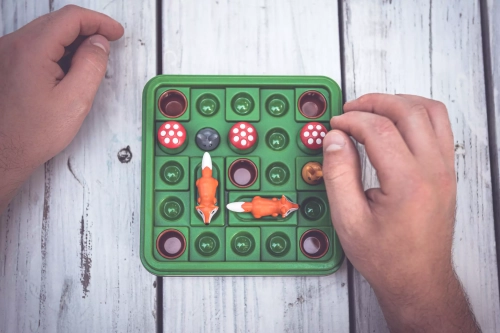 65b24-smart-games-hop-do-nor.webp