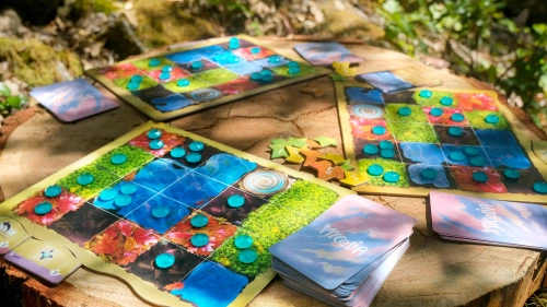 58fef2c63b875c891474-mycelia.webp