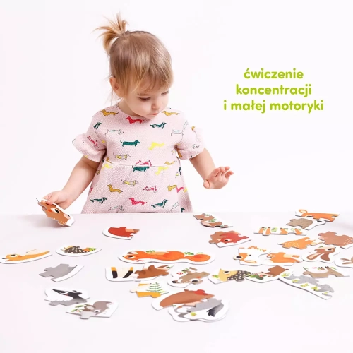 20ed7-czuczu-puzzle-progresy.webp