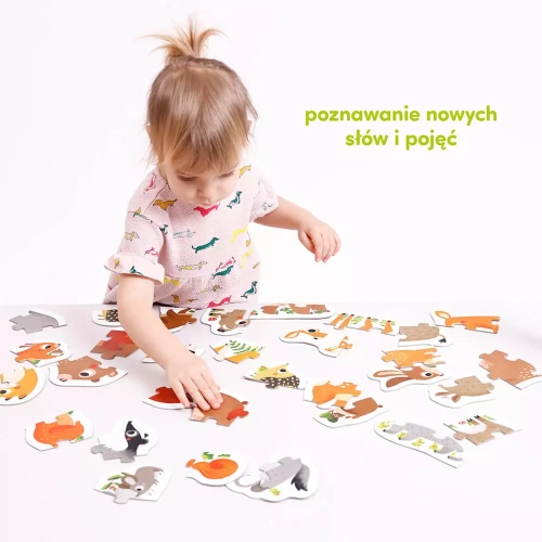 02bf7-czuczu-puzzle-progresy.webp