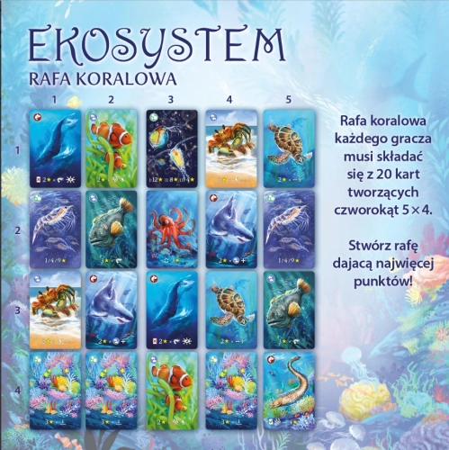 23e54-ekosystem-2-rafa-koral.webp