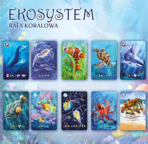 6ec55-ekosystem-2-rafa-koral.webp