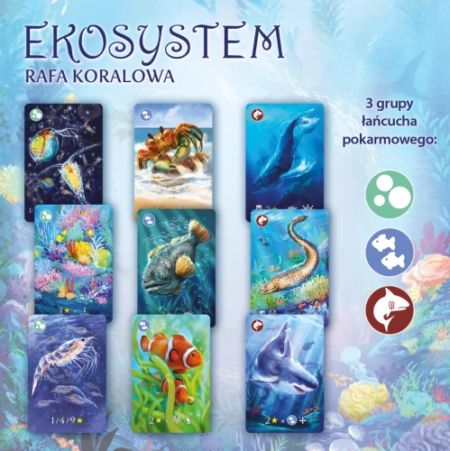 7ab41-ekosystem-2-rafa-koral.webp