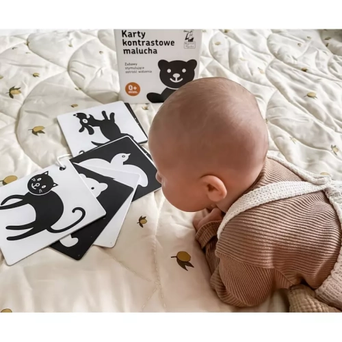 2b38f-karty-kontrastowe-malu.webp