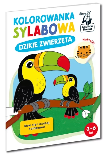 84bbbce-kapitan-nauka-koloro.webp