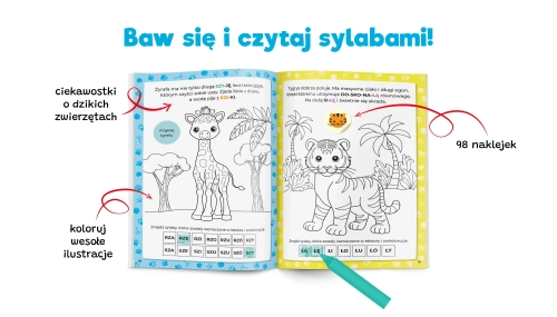 52600-kapitan-nauka-kolorowa.webp