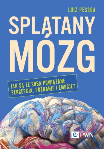 975603f-splatany-mozg-jak-sa.jpg