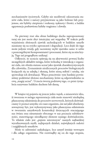 64df9-blad-kartezjusza-emocj.webp