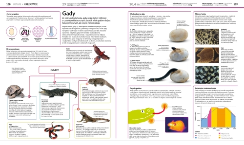 3c749-popularna-encyklopedia.webp