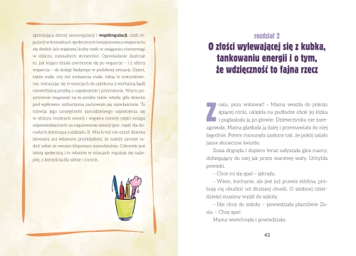 31a5d-self-regulation-szkoln.webp