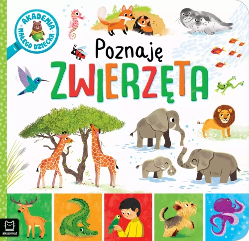 f741a71-akademia-malego-dzie.webp