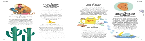 e4641-wszystko-co-chcesz-wie.webp