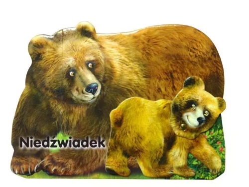 a0e04db-niedzwiadek-liwona-r.webp