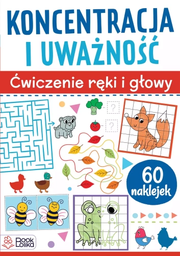 877d95a-koncentracja-i-uwazn.webp