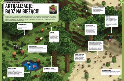52120-minecraft-rocznik-2026.webp