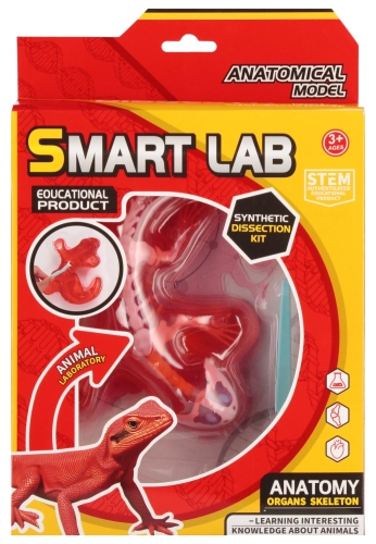 Zestaw Naukowca Anatomia Jaszczurka Mega Creative 567931