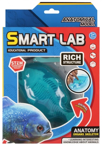 Zestaw Naukowca Anatomia Ryba Mega Creative 567933
