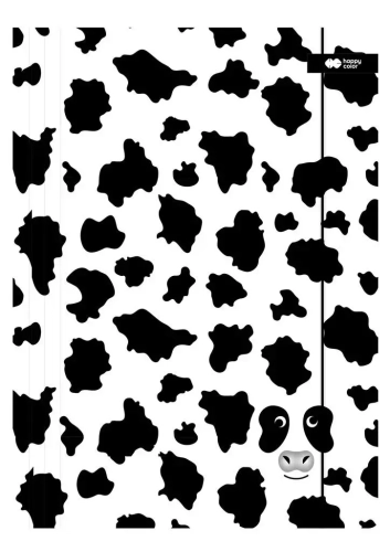 3eac0740-teczka-a4-z-gumka-b.webp