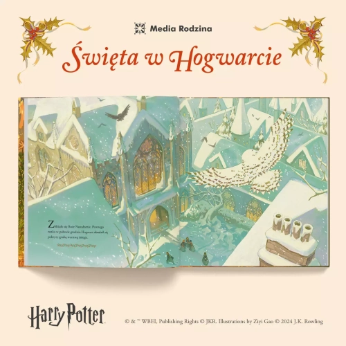 3f9bd9-harry-potter-swieta-w.webp