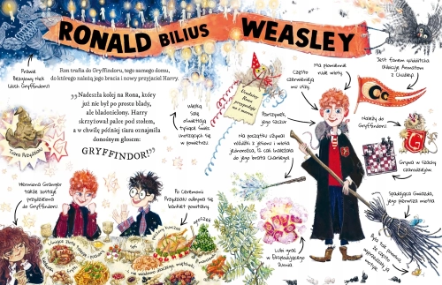 4e19bfc-ma-y-potterownik-ron.webp