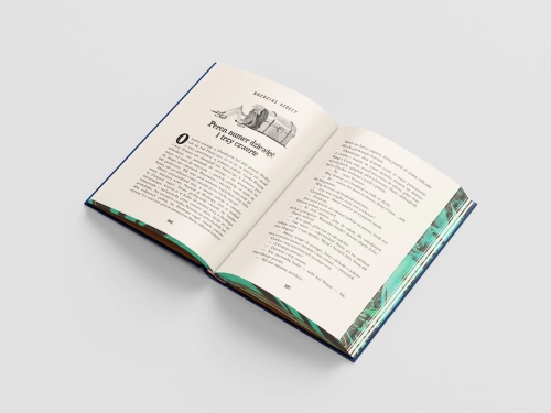 ec74b8-harry-potter-i-kamien.webp
