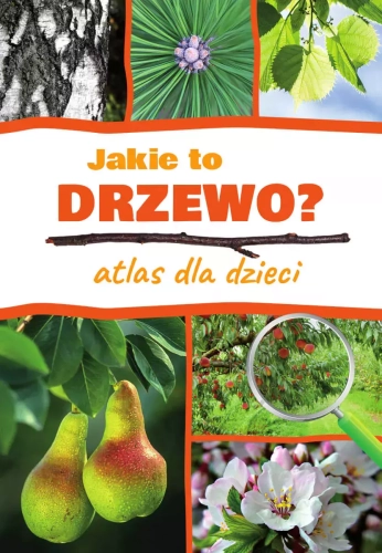 21864db-jakie-to-drzewo-atla.webp
