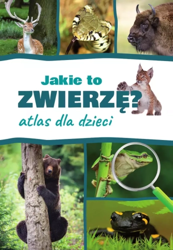 1009d78-jakie-to-zwierze-atl.webp