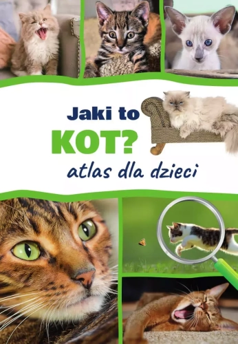 9d42998-atlas-dla-dzieci-jak.webp