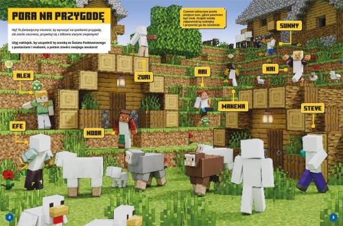 2d00c-minecraft-naklejkowa-p.webp