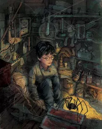 45a611-harry-potter-i-kamien.webp