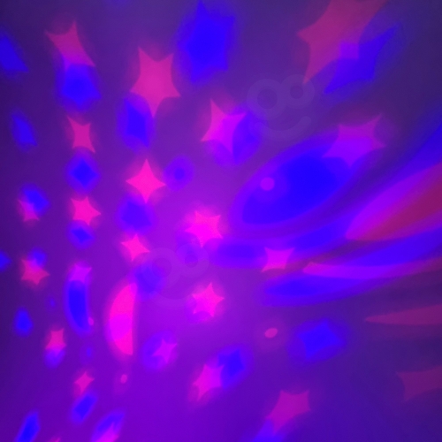 export.jpg