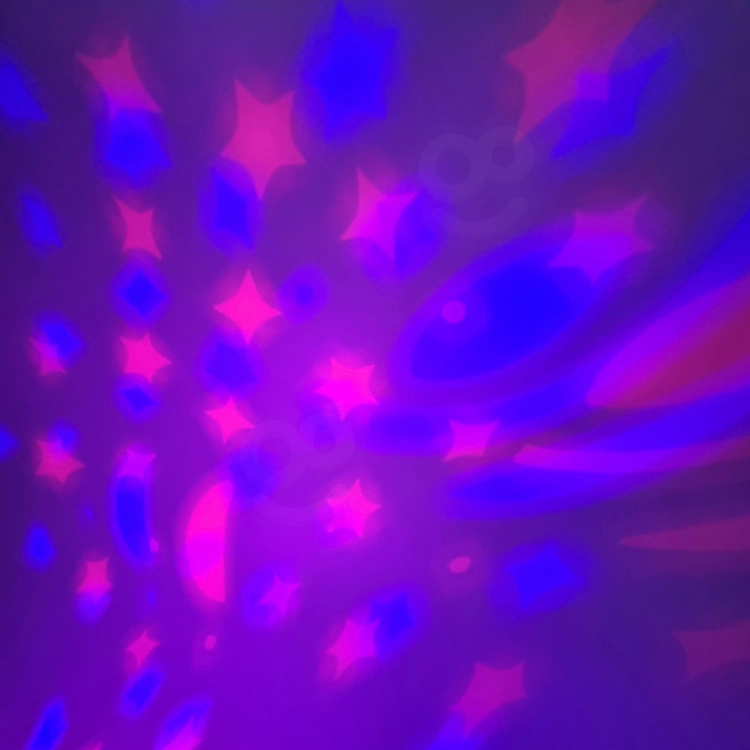 export.jpg