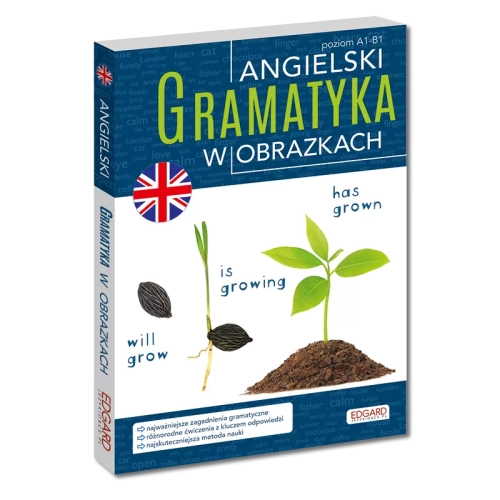 Angielski. Gramatyka w obrazkach