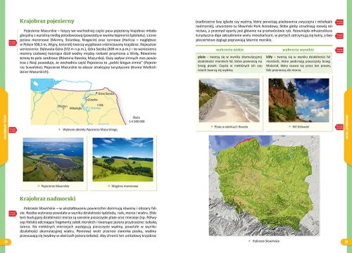ff8f8-nowe-repetytorium-szko.webp