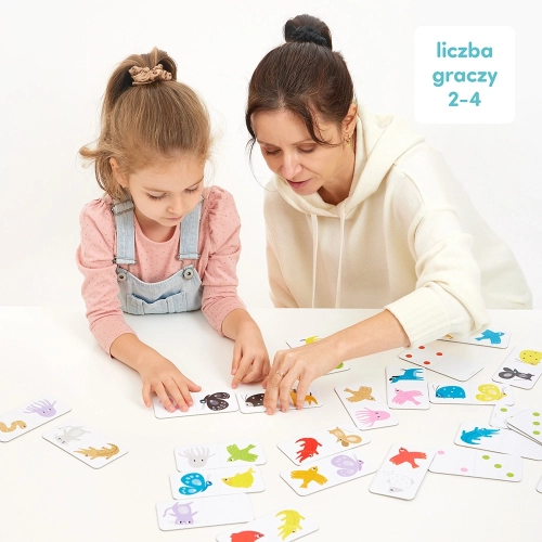 a54cd17-czuczu-domino-kolory.webp