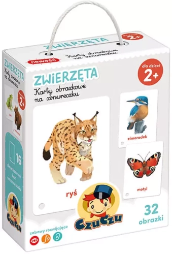 7edf155-czuczu-karty-obrazko.webp