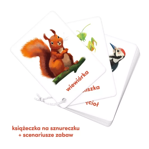 8d7e1-czu-czu-karty-obrazkow.webp