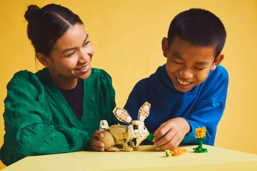a3154-lego-creator-3-w-1-311.webp