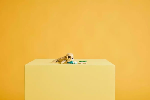 af7e8-lego-creator-3-w-1-311.webp