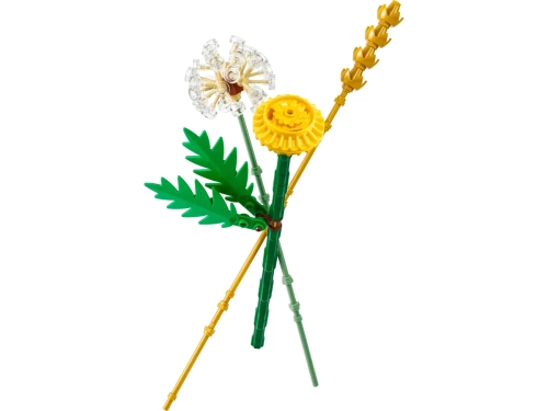 b2e6d-lego-botanicals-kwiaty.webp