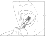 big_4.png