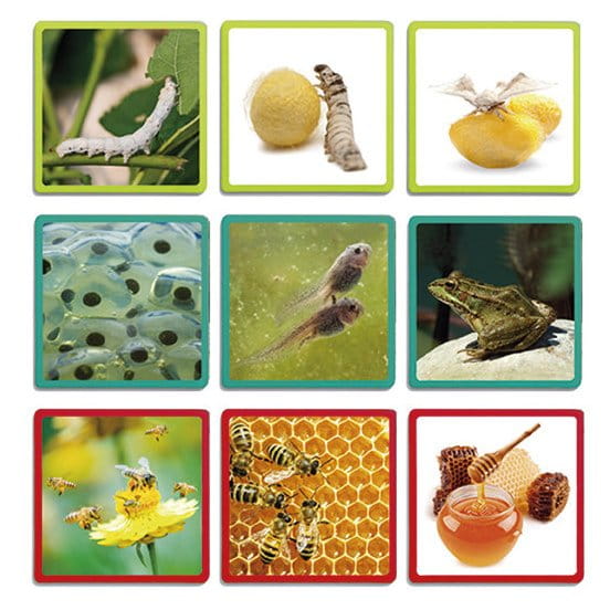 nature-maxi-sequences (1).jpg