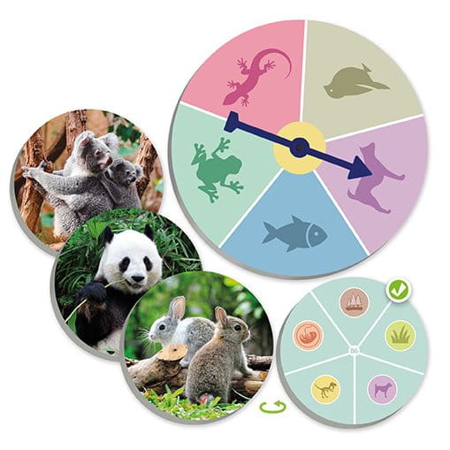 the-animal-world-discover-and-classify (3).jpg